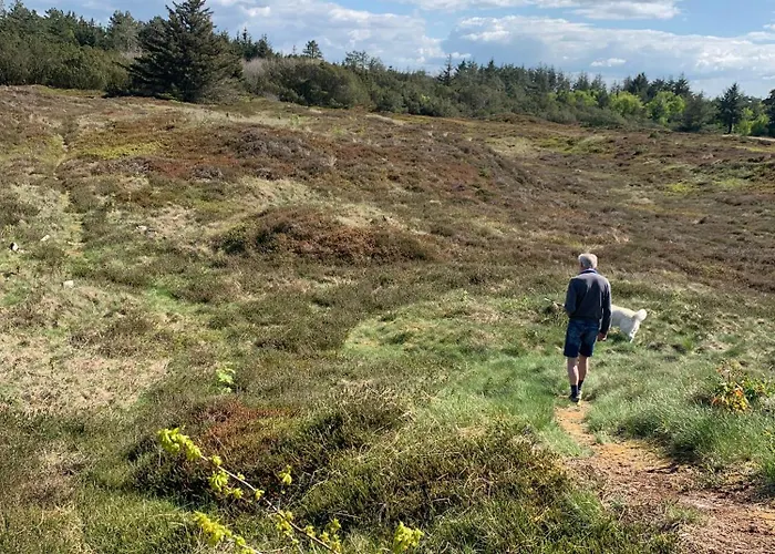 Fjordferie Feriehus Hemmet